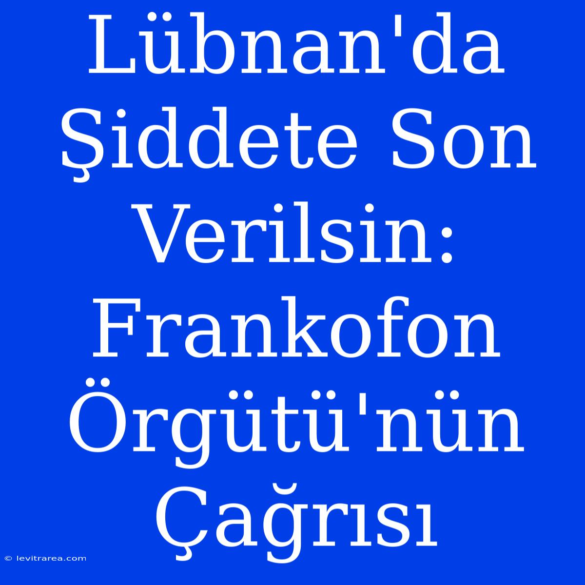 Lübnan'da Şiddete Son Verilsin: Frankofon Örgütü'nün Çağrısı