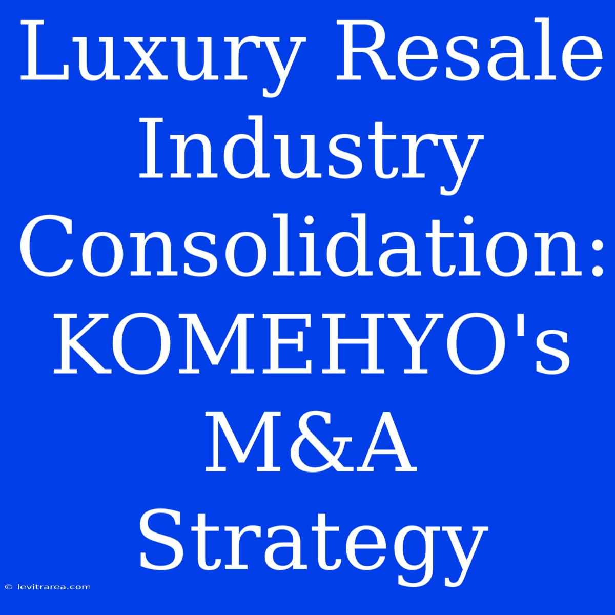 Luxury Resale Industry Consolidation: KOMEHYO's M&A Strategy