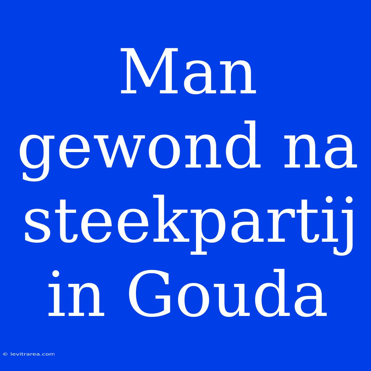 Man Gewond Na Steekpartij In Gouda