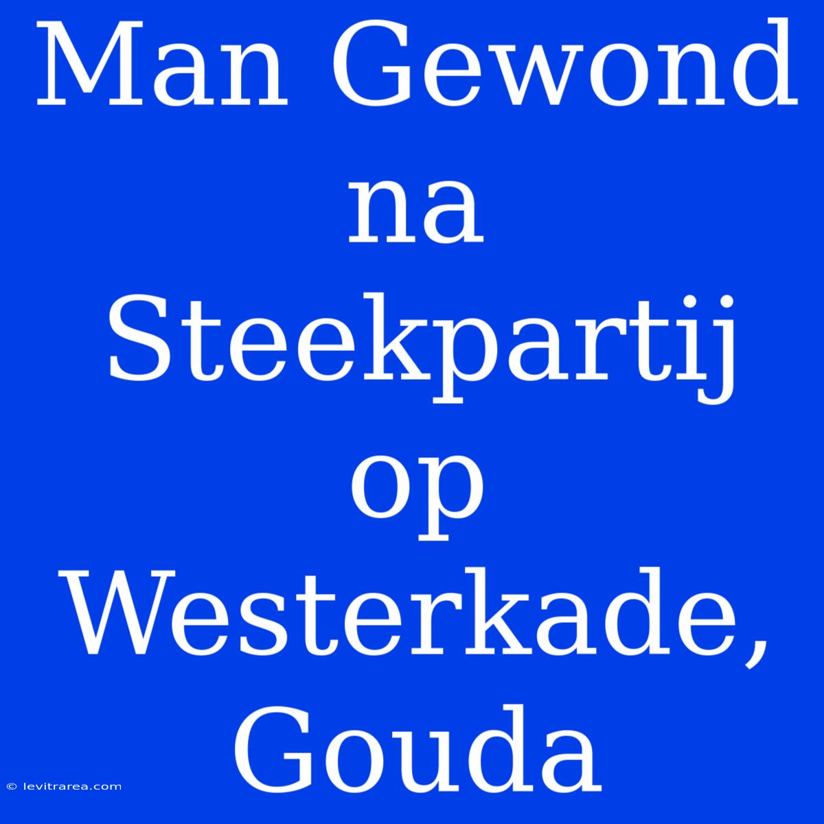 Man Gewond Na Steekpartij Op Westerkade, Gouda