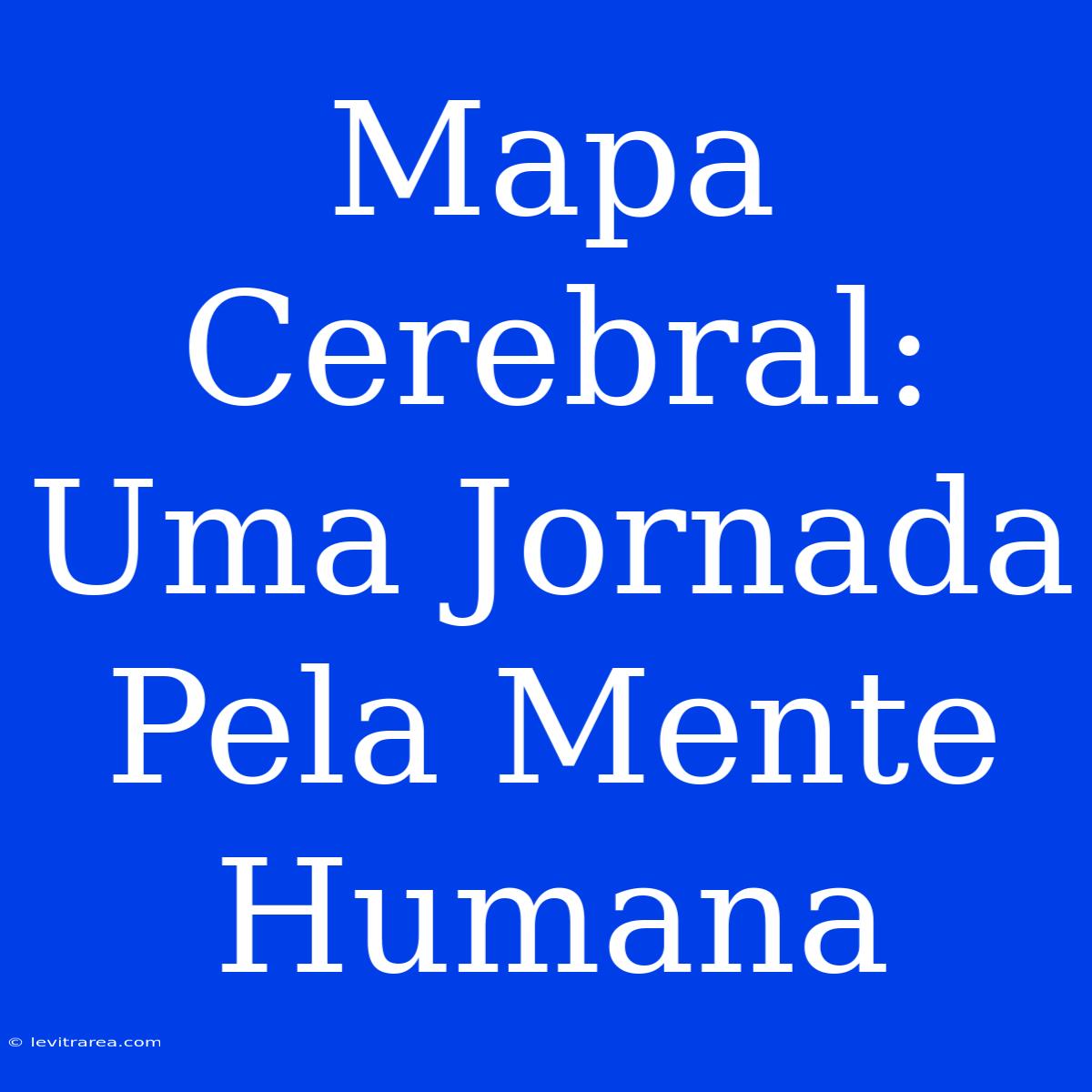 Mapa Cerebral: Uma Jornada Pela Mente Humana