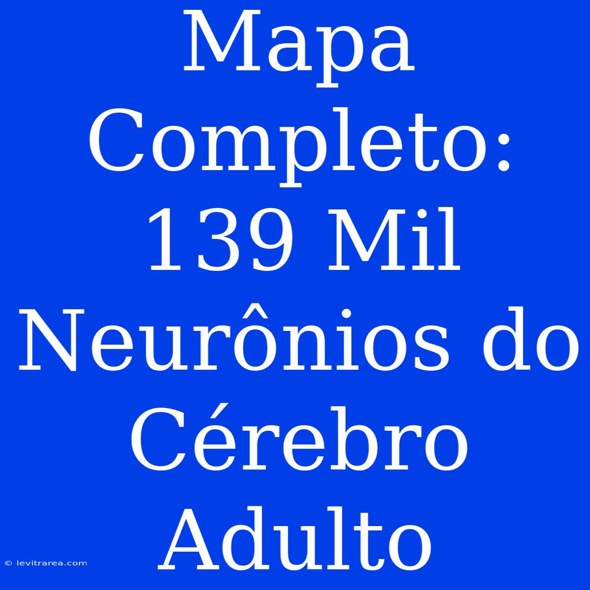 Mapa Completo: 139 Mil Neurônios Do Cérebro Adulto