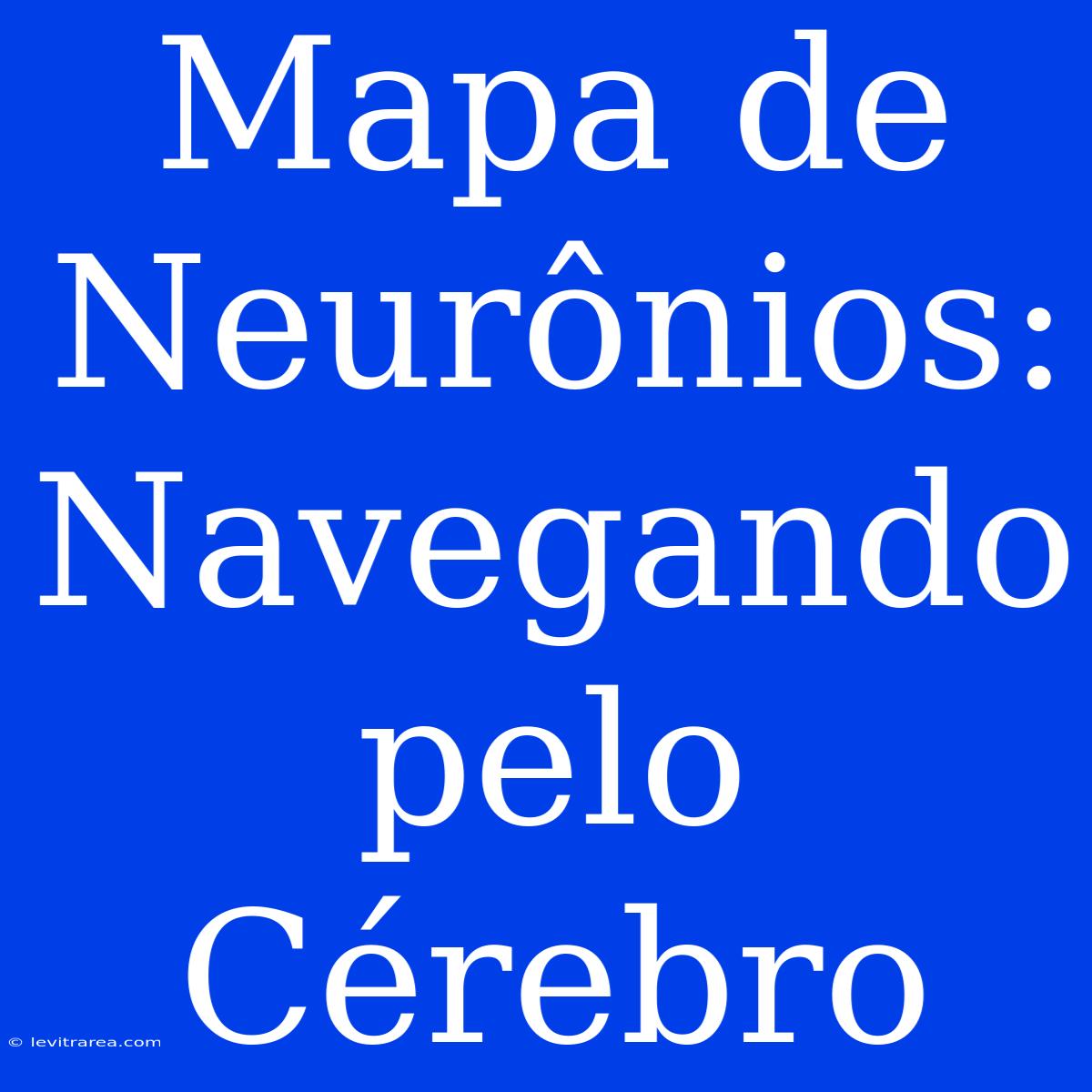 Mapa De Neurônios: Navegando Pelo Cérebro