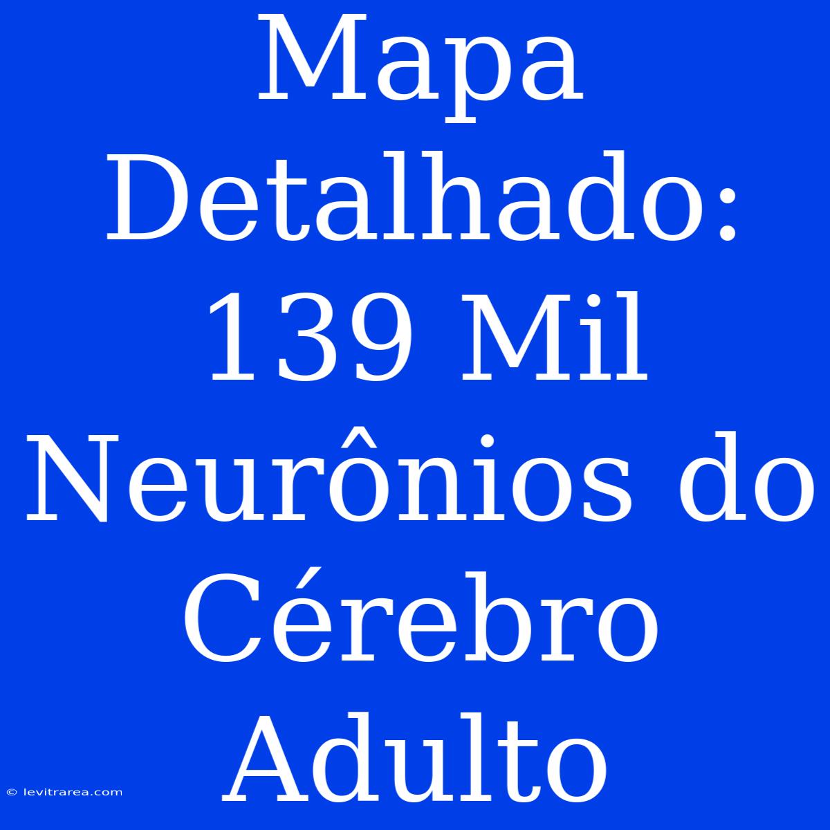 Mapa Detalhado: 139 Mil Neurônios Do Cérebro Adulto