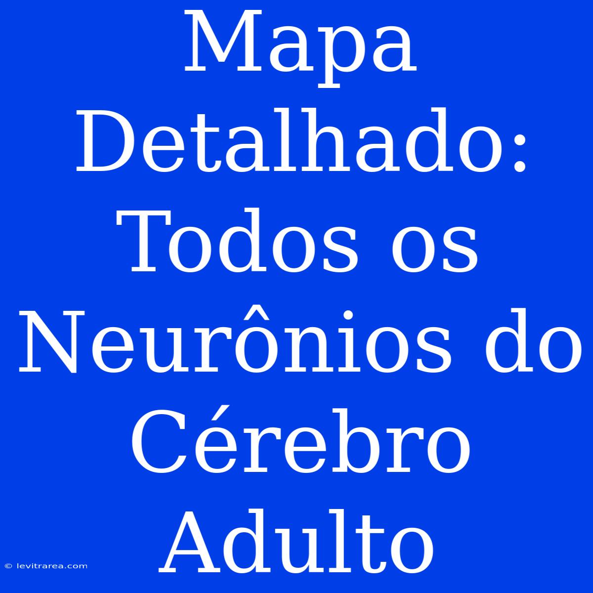 Mapa Detalhado: Todos Os Neurônios Do Cérebro Adulto 