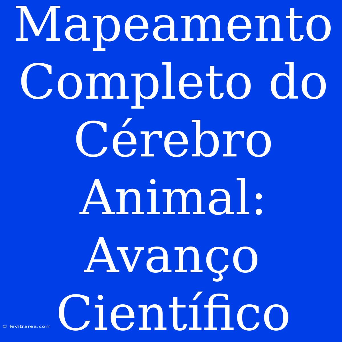 Mapeamento Completo Do Cérebro Animal: Avanço Científico