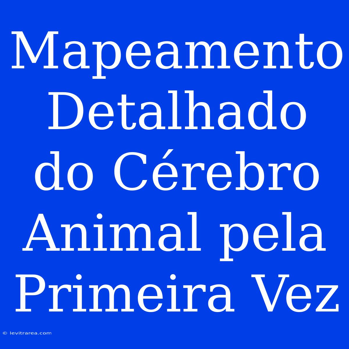 Mapeamento Detalhado Do Cérebro Animal Pela Primeira Vez