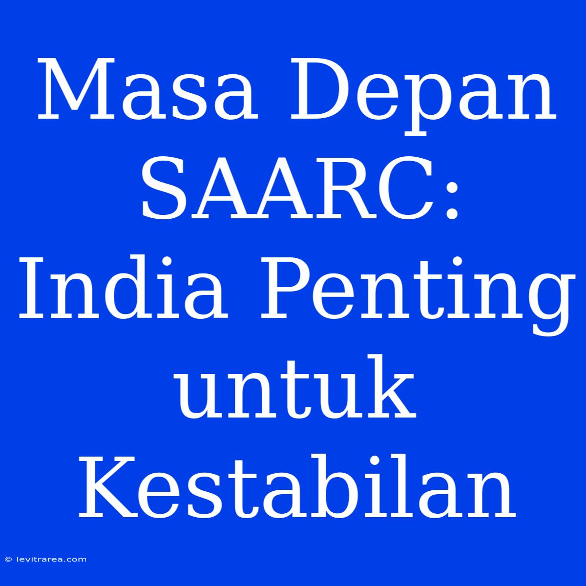 Masa Depan SAARC: India Penting Untuk Kestabilan 