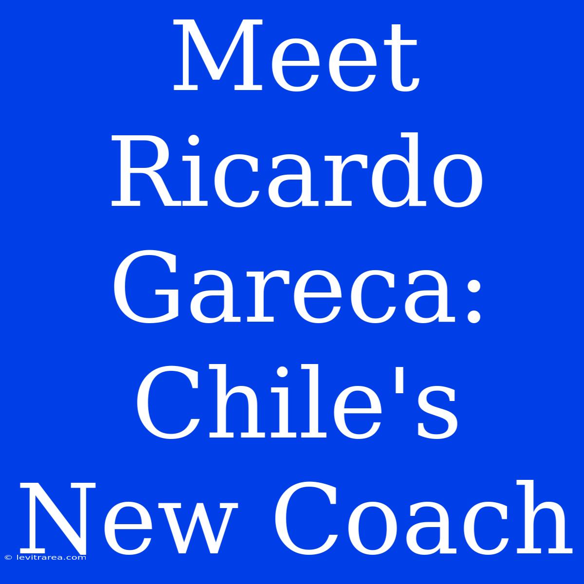 Meet Ricardo Gareca: Chile's New Coach