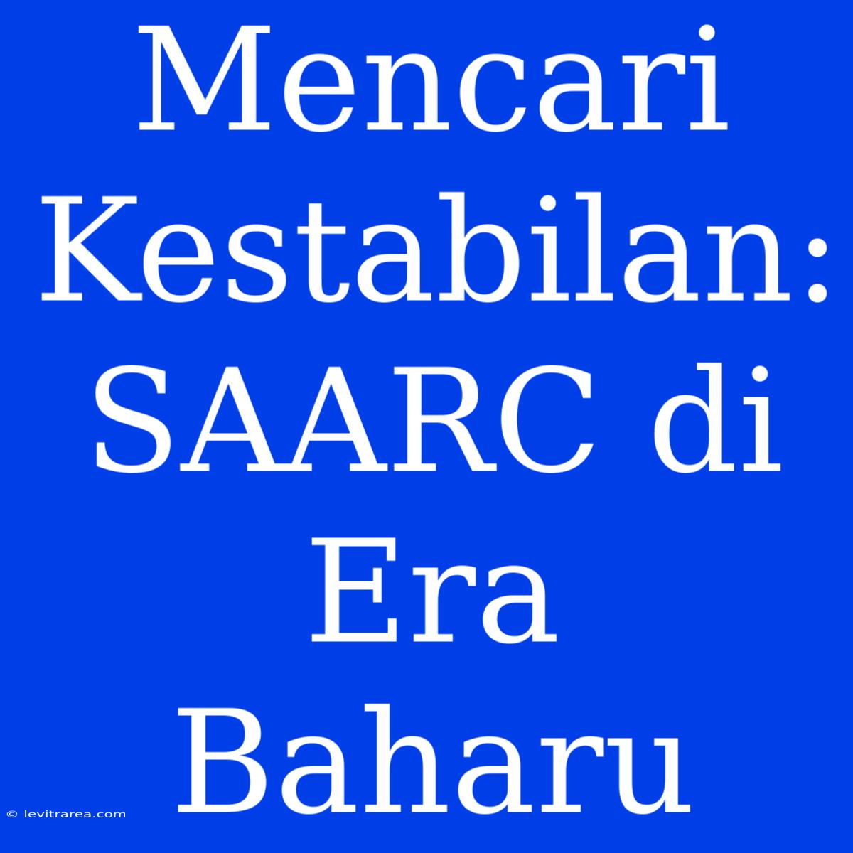 Mencari Kestabilan: SAARC Di Era Baharu