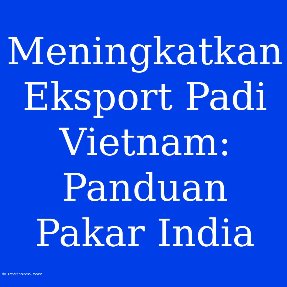 Meningkatkan Eksport Padi Vietnam: Panduan Pakar India 