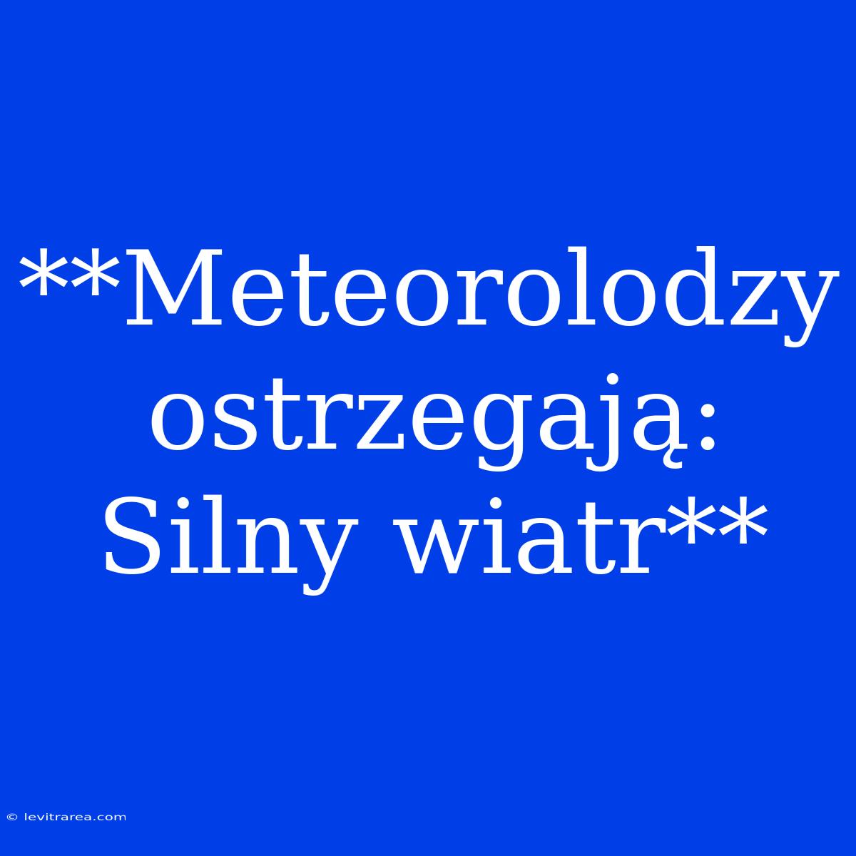 **Meteorolodzy Ostrzegają: Silny Wiatr**