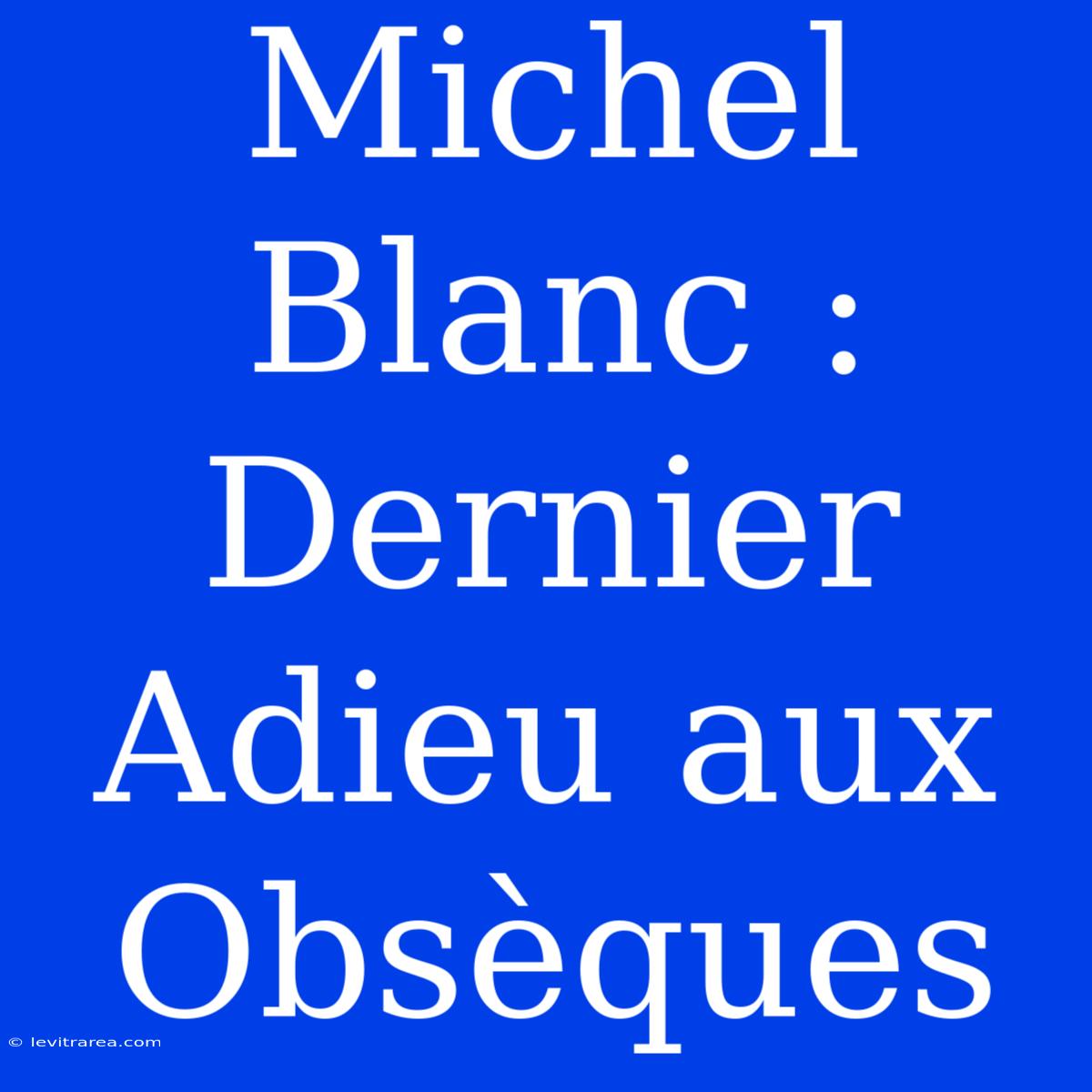 Michel Blanc : Dernier Adieu Aux Obsèques