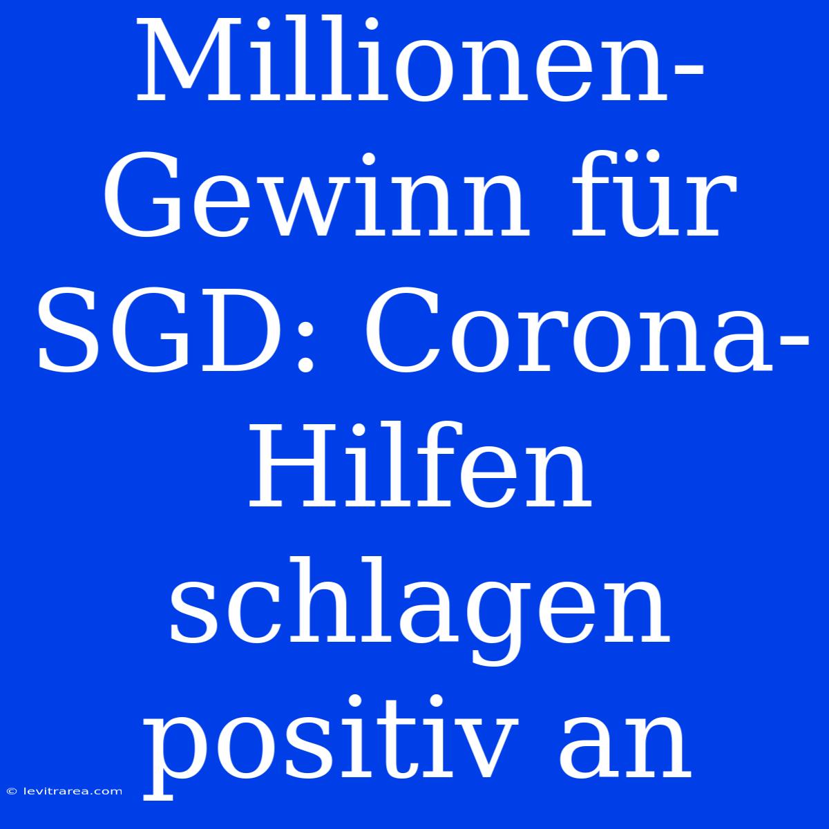 Millionen-Gewinn Für SGD: Corona-Hilfen Schlagen Positiv An 