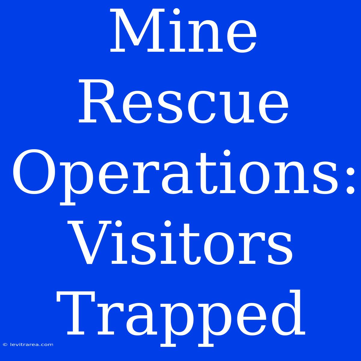 Mine Rescue Operations: Visitors Trapped