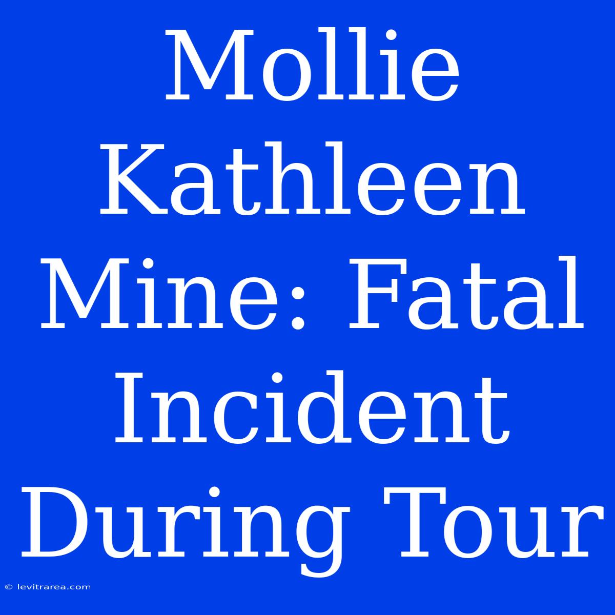 Mollie Kathleen Mine: Fatal Incident During Tour