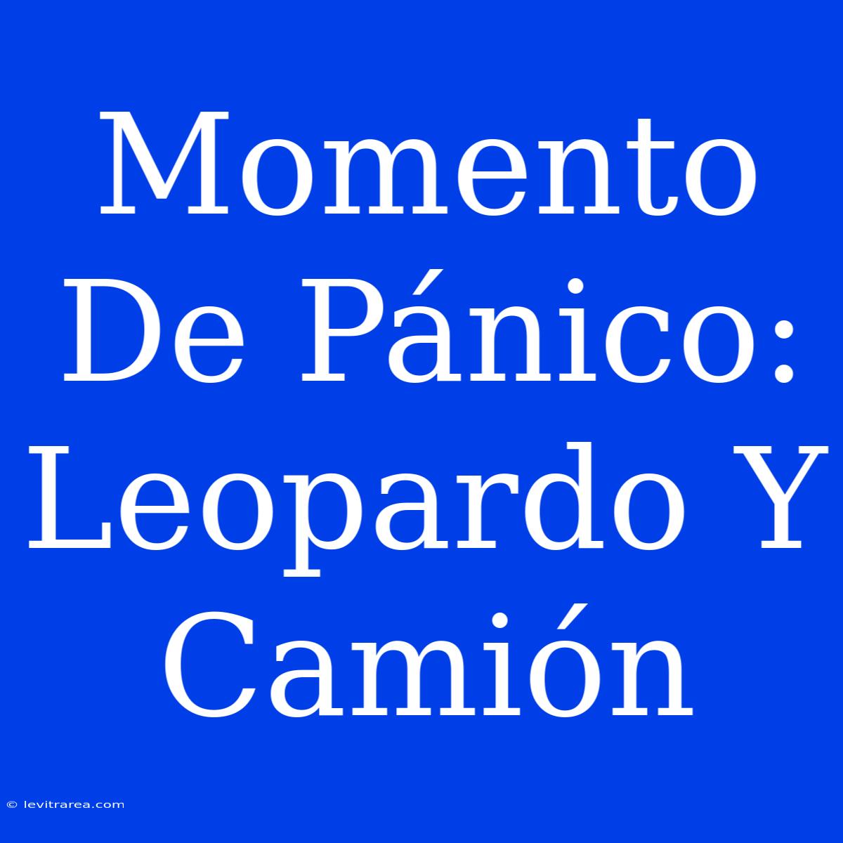 Momento De Pánico: Leopardo Y Camión