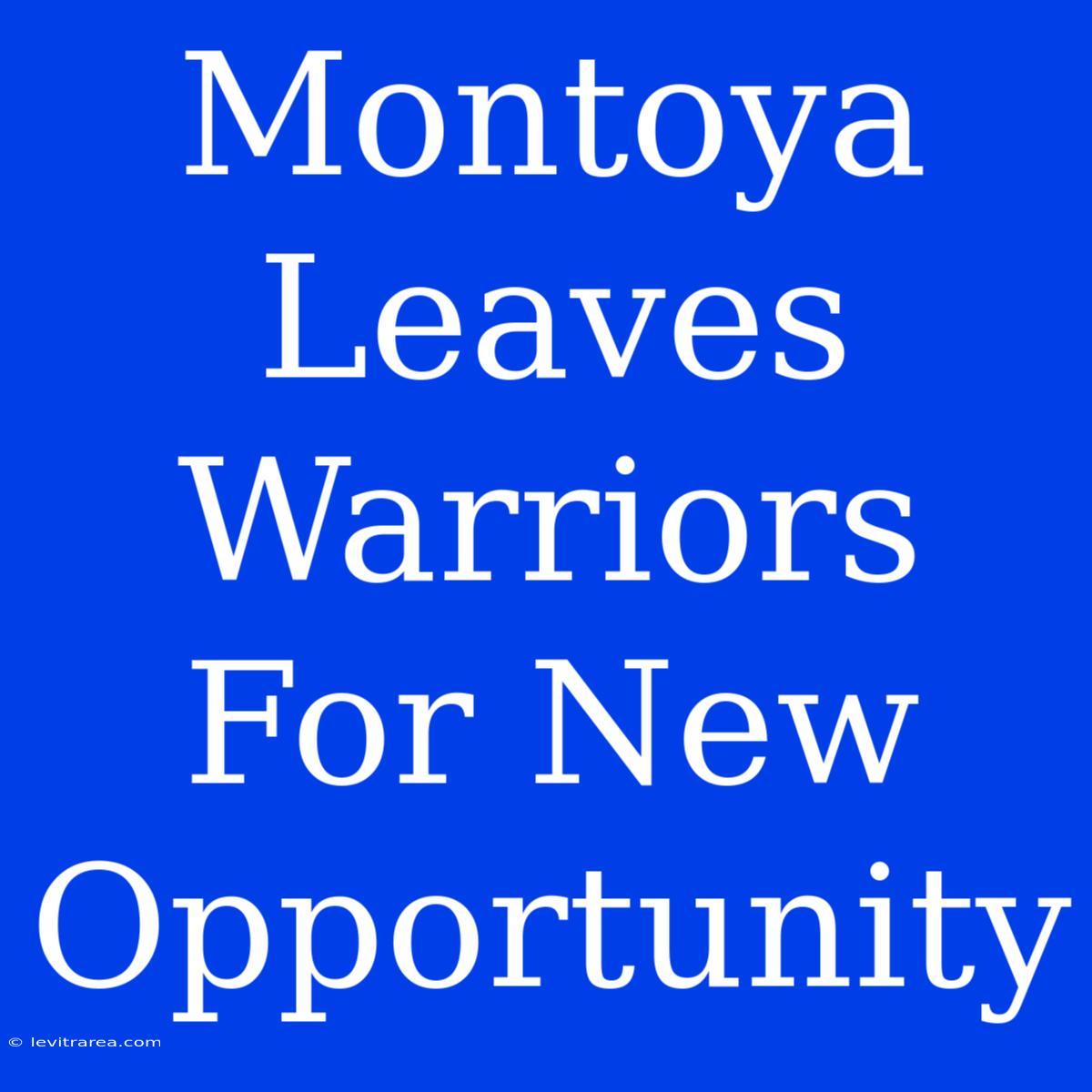 Montoya Leaves Warriors For New Opportunity 