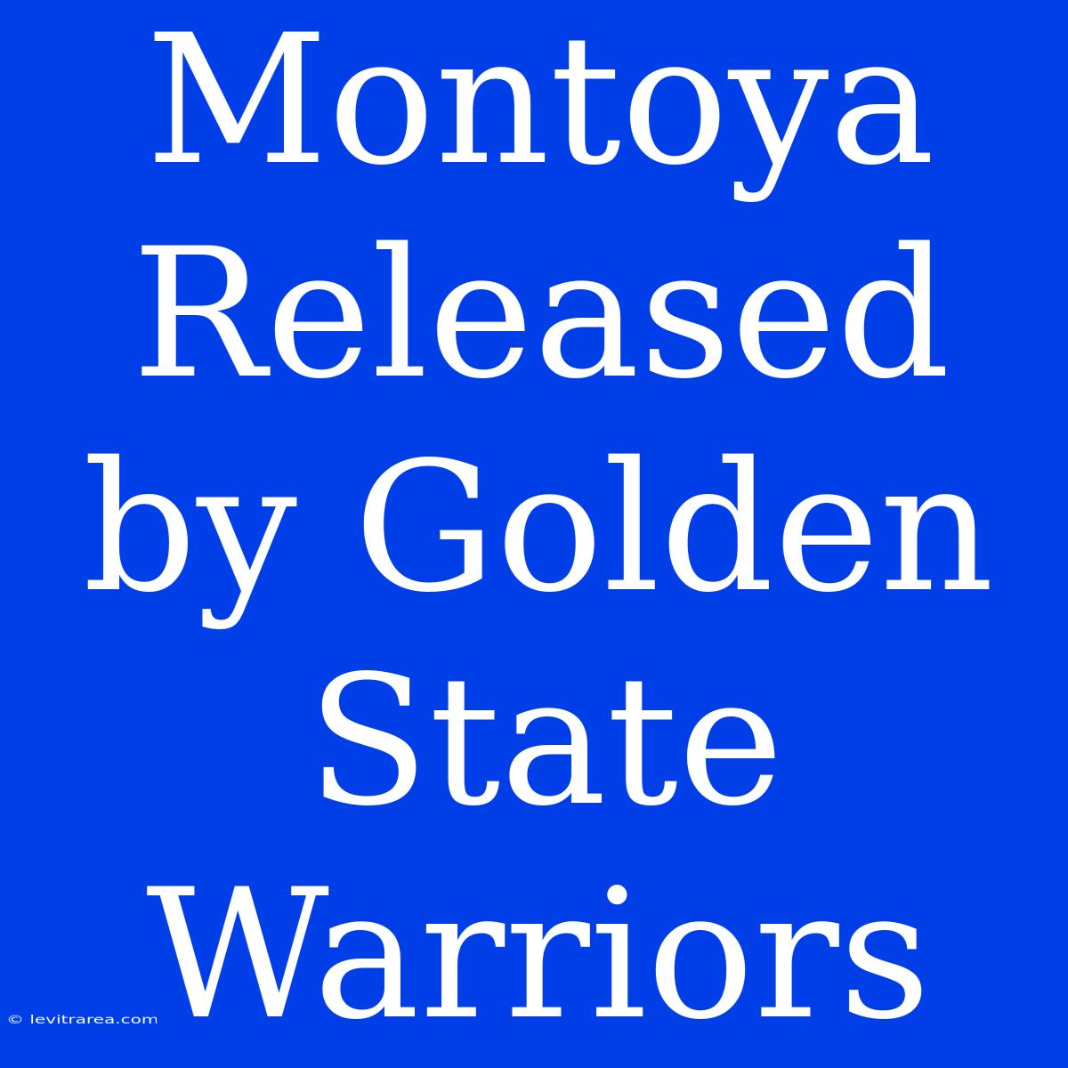 Montoya Released By Golden State Warriors