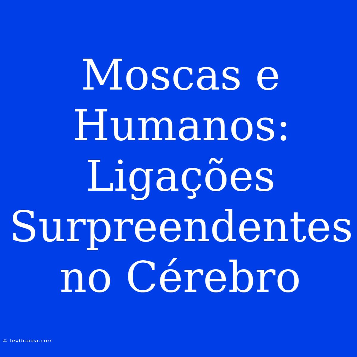 Moscas E Humanos: Ligações Surpreendentes No Cérebro