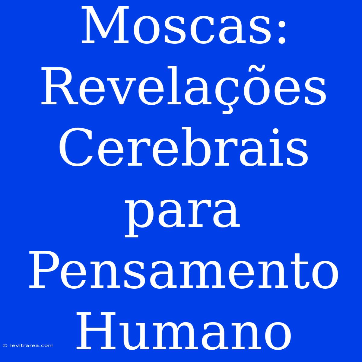 Moscas: Revelações Cerebrais Para Pensamento Humano