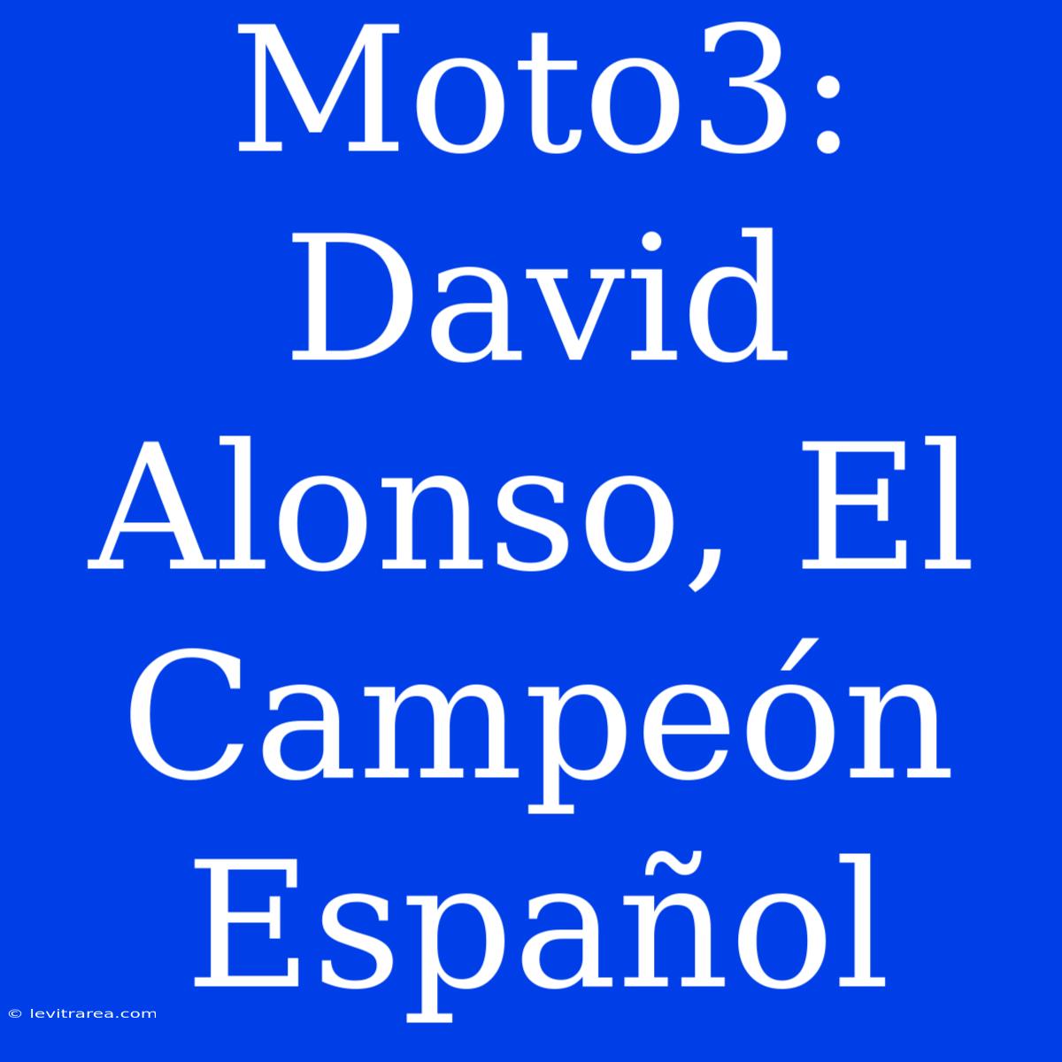 Moto3: David Alonso, El Campeón Español