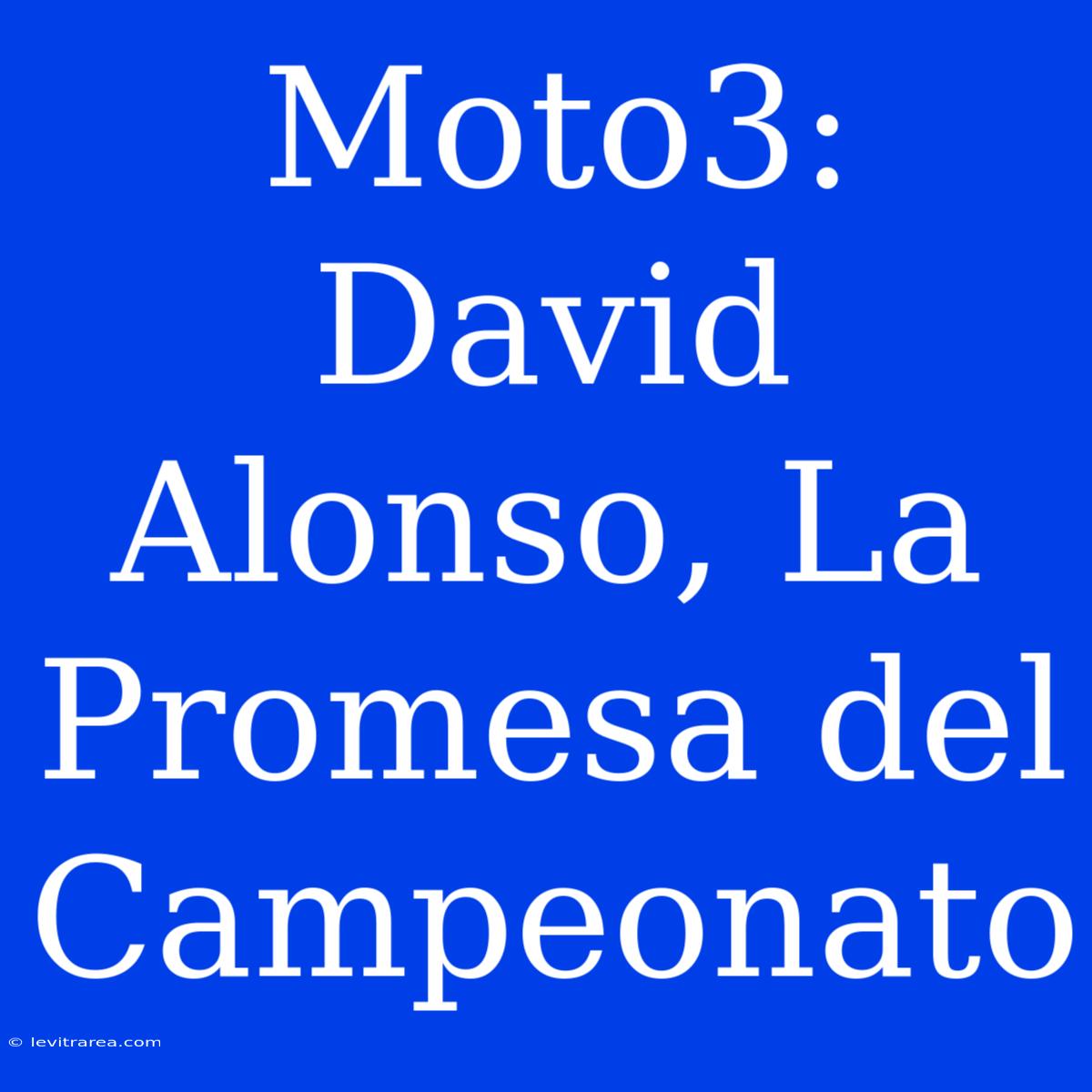 Moto3: David Alonso, La Promesa Del Campeonato