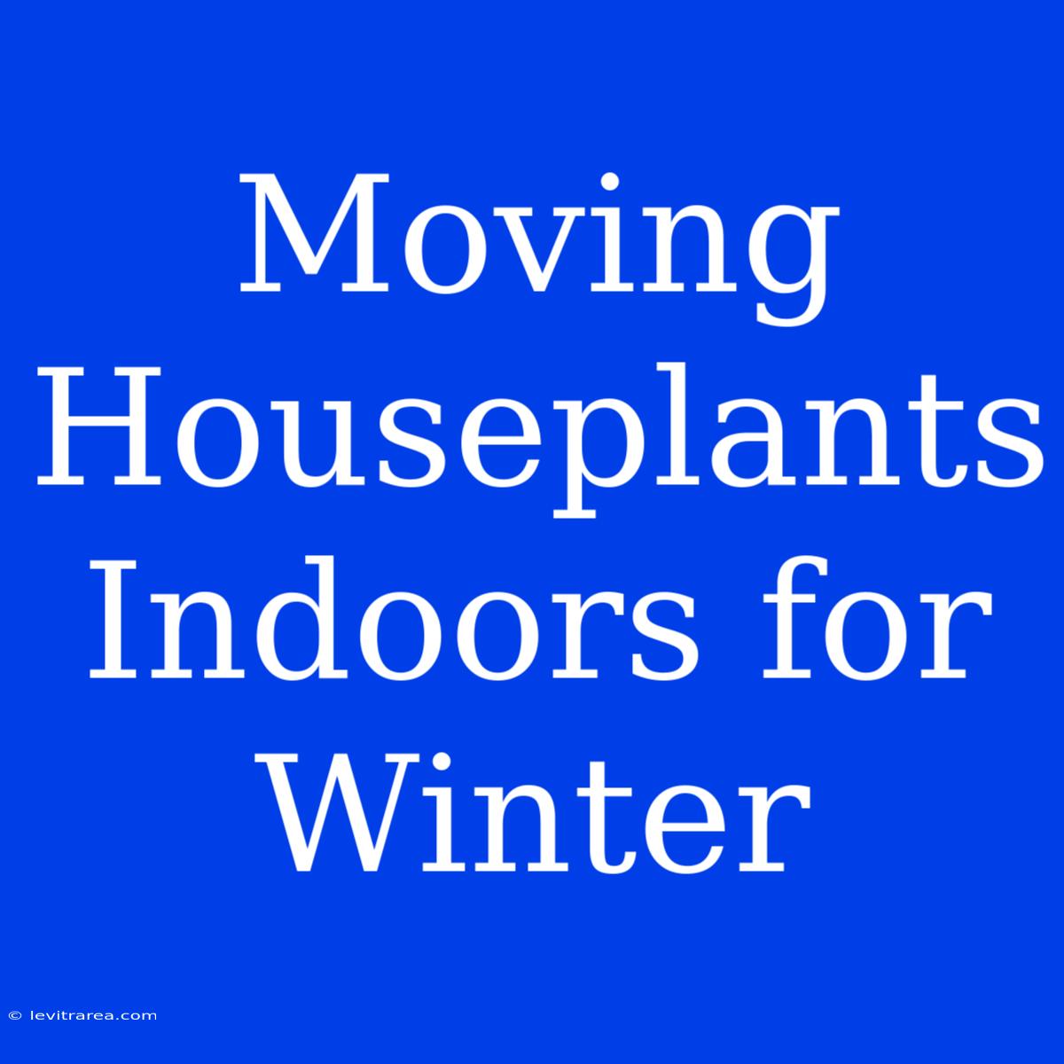 Moving Houseplants Indoors For Winter