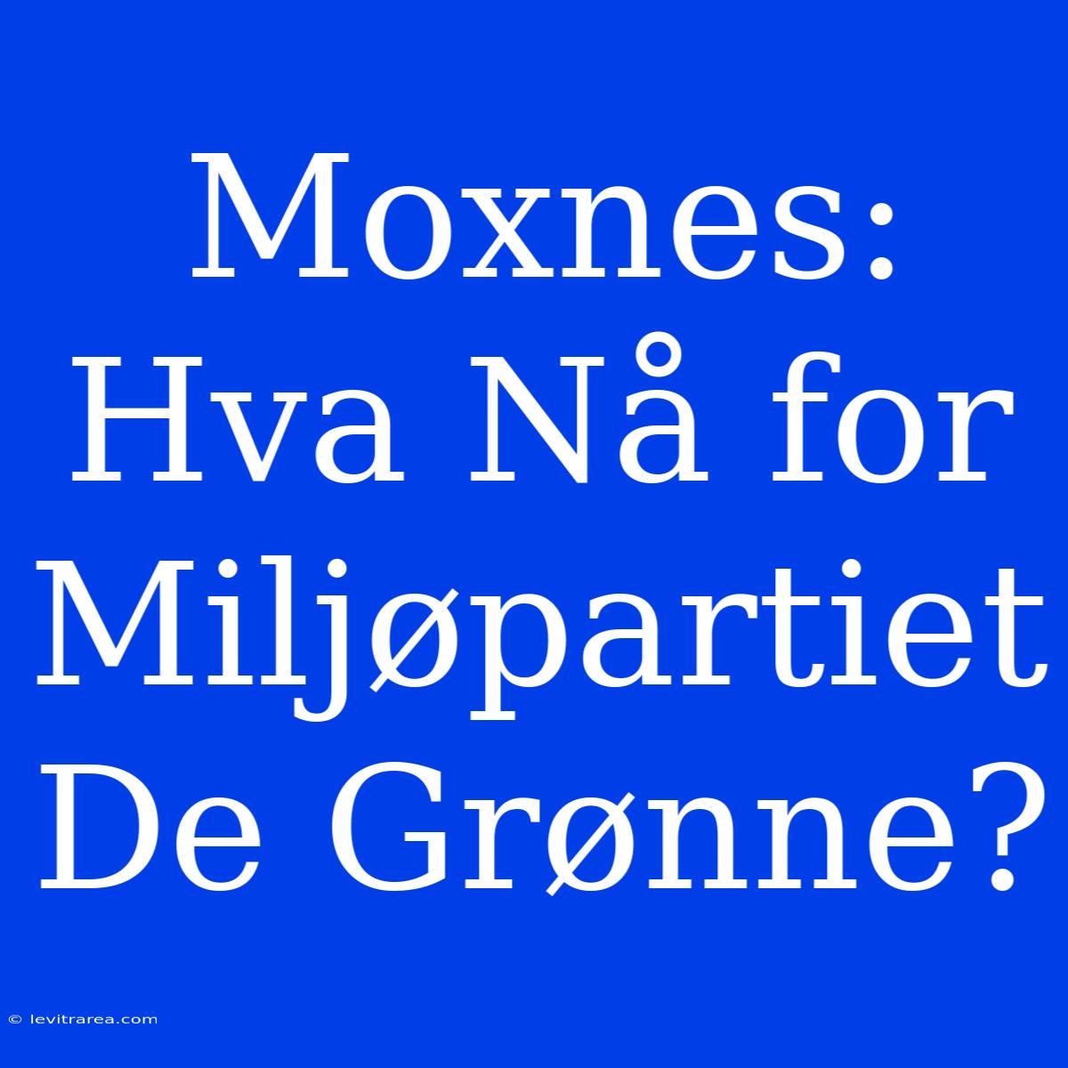 Moxnes: Hva Nå For Miljøpartiet De Grønne?