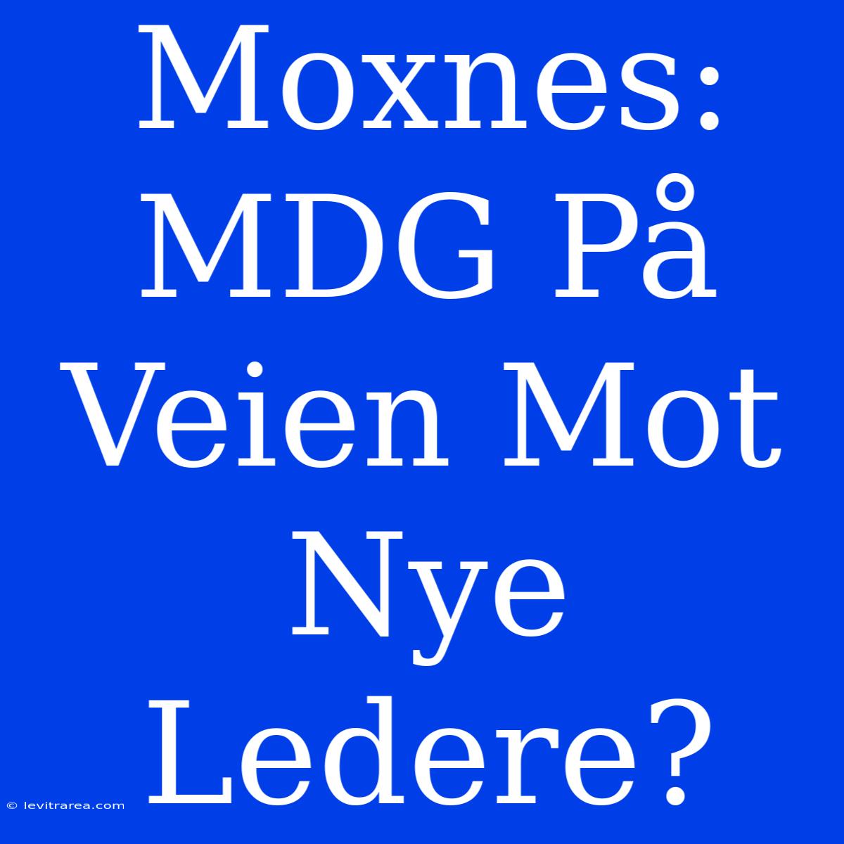 Moxnes:  MDG På Veien Mot Nye Ledere?