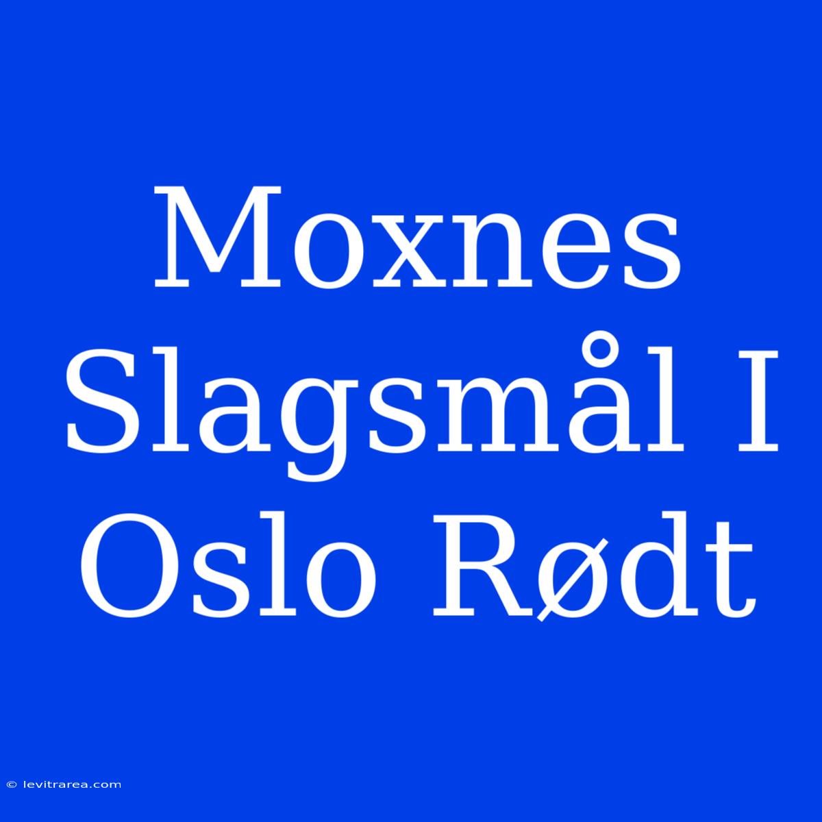 Moxnes Slagsmål I Oslo Rødt