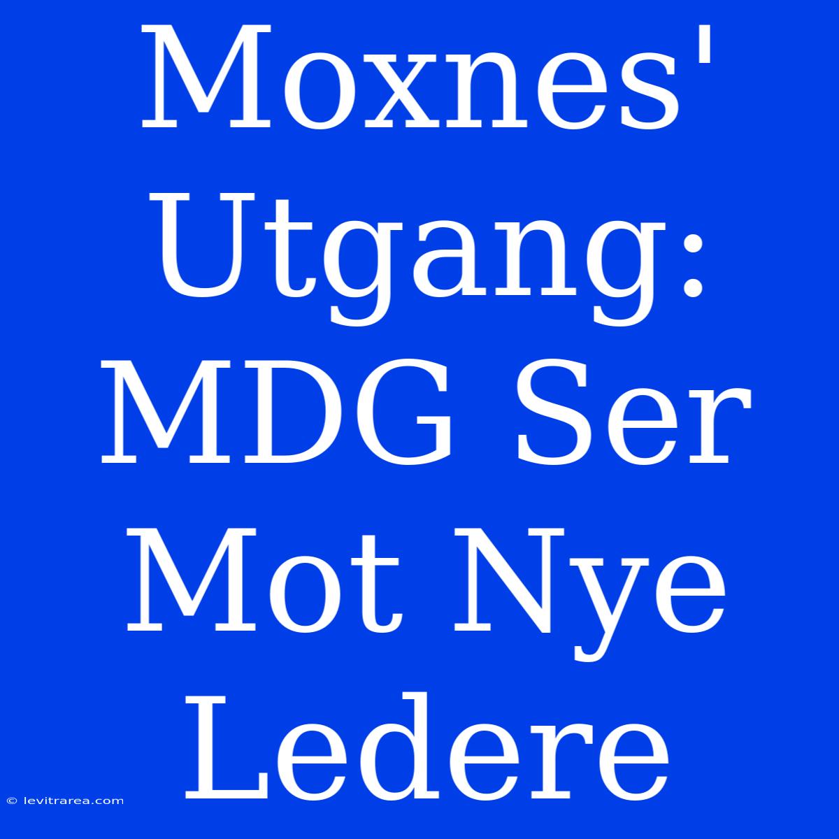 Moxnes' Utgang: MDG Ser Mot Nye Ledere