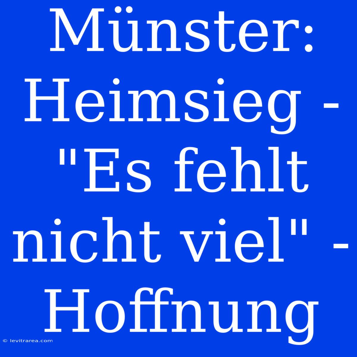 Münster: Heimsieg - 