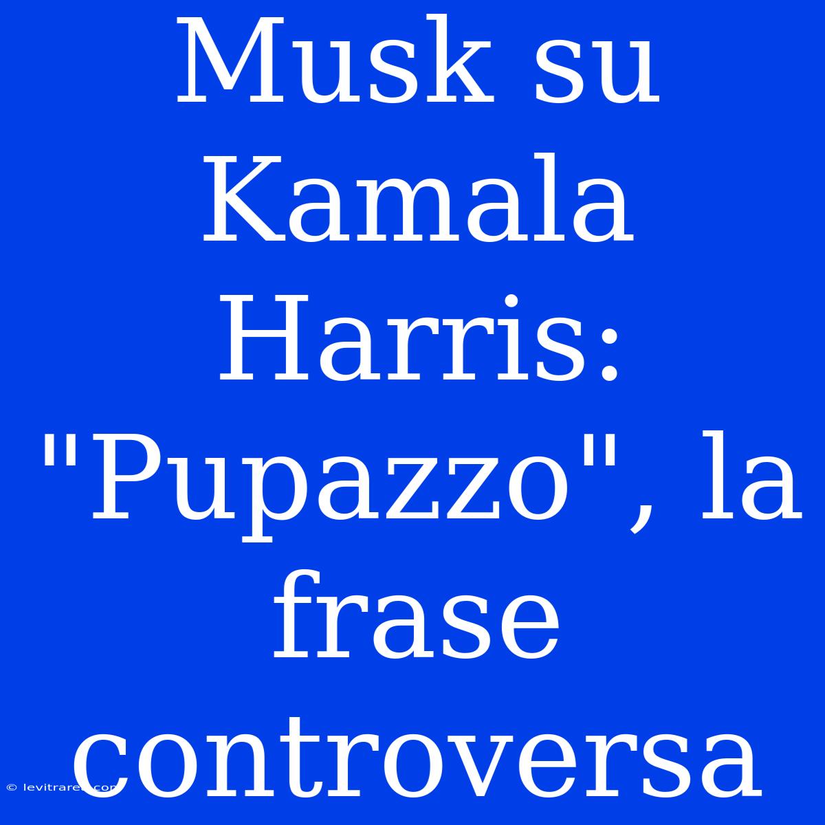 Musk Su Kamala Harris: 