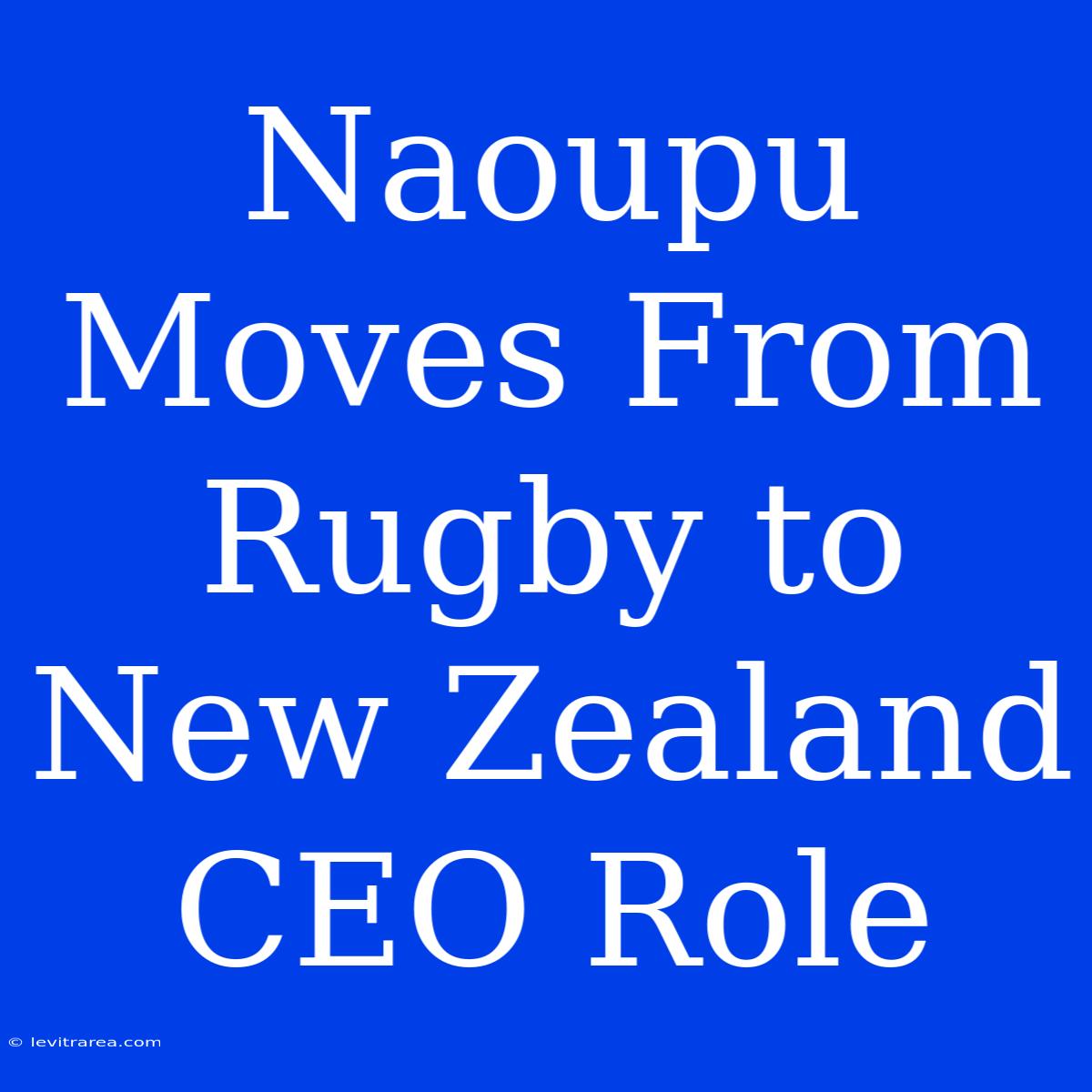 Naoupu Moves From Rugby To New Zealand CEO Role