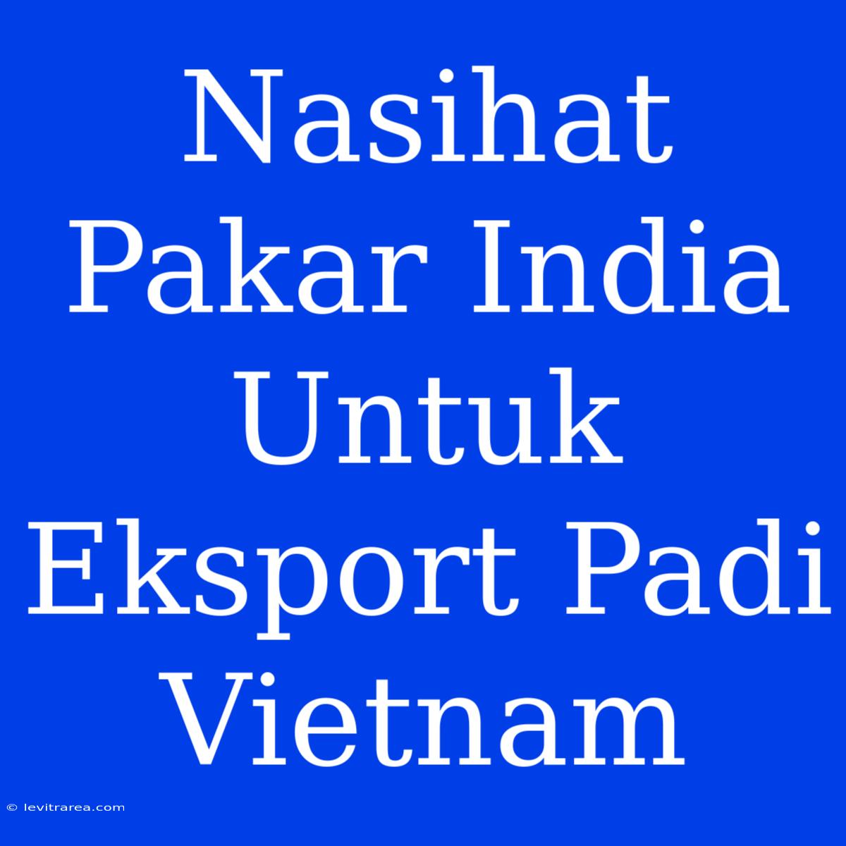 Nasihat Pakar India Untuk Eksport Padi Vietnam