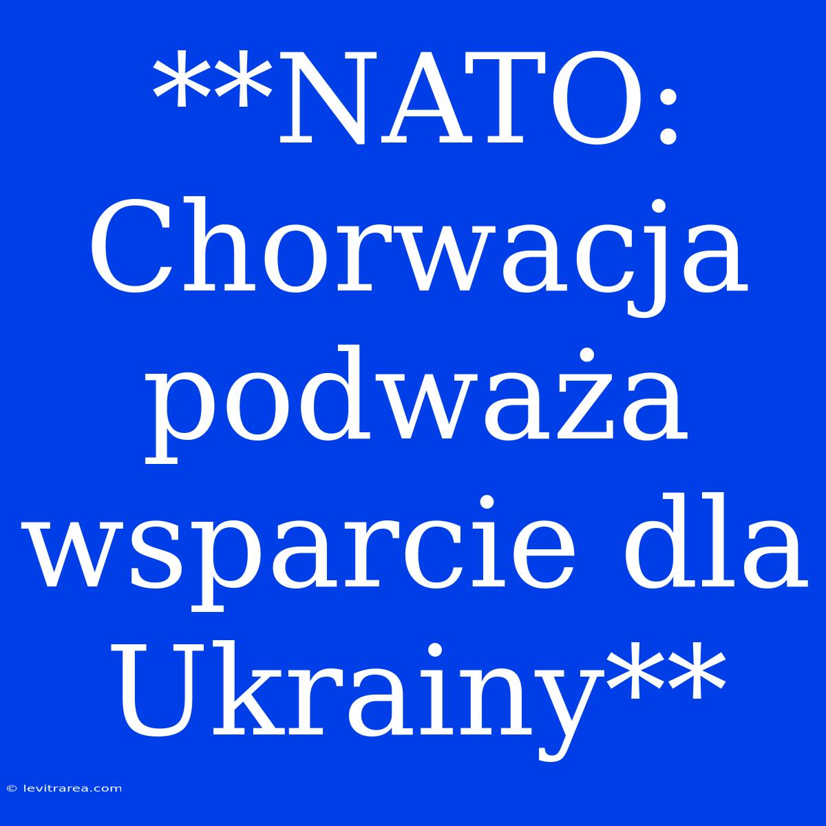 **NATO: Chorwacja Podważa Wsparcie Dla Ukrainy**