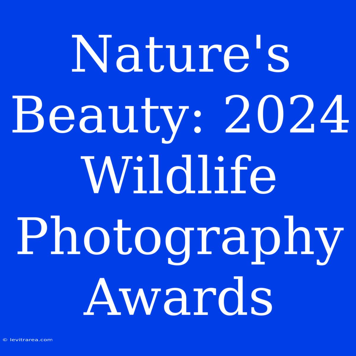 Nature's Beauty: 2024 Wildlife Photography Awards