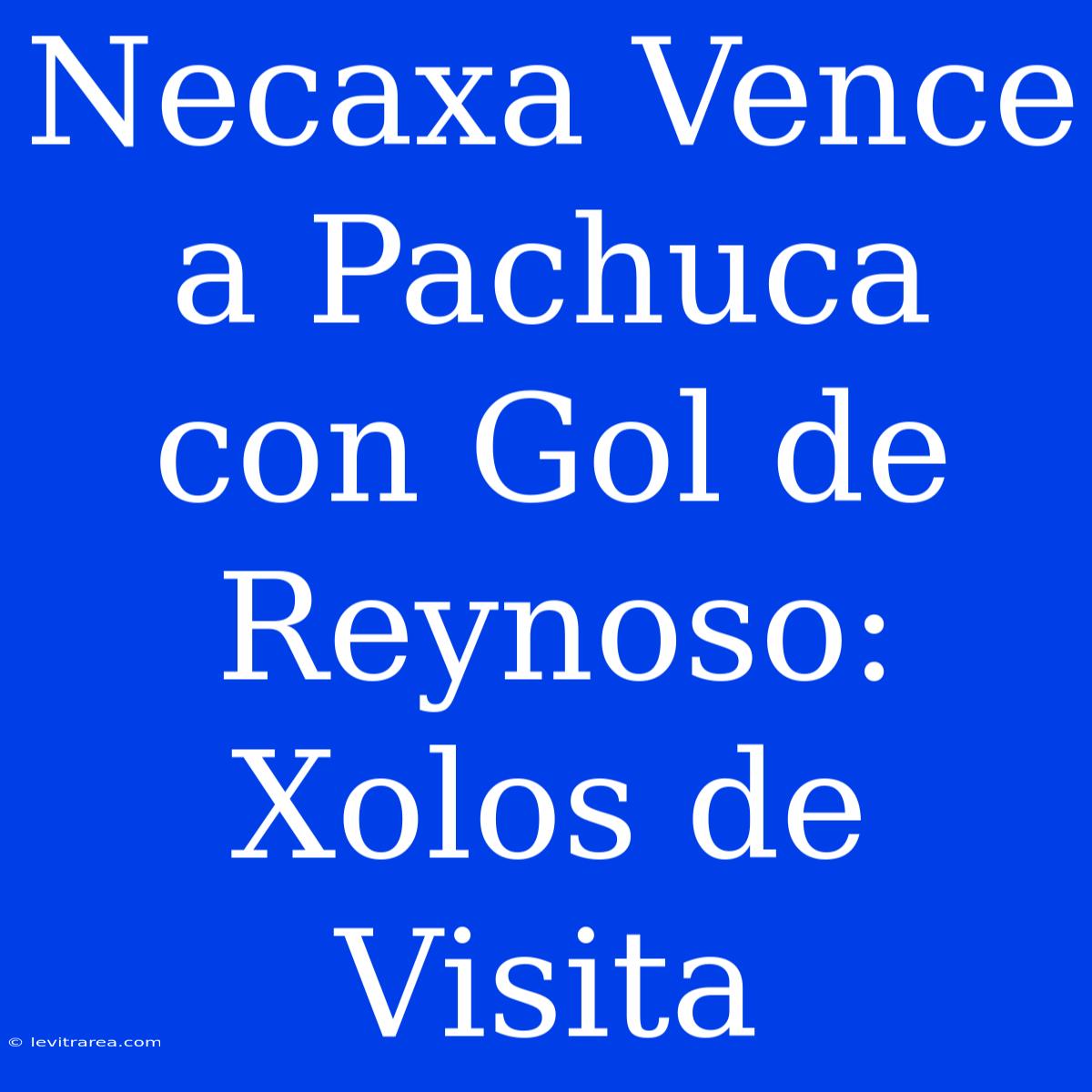 Necaxa Vence A Pachuca Con Gol De Reynoso: Xolos De Visita