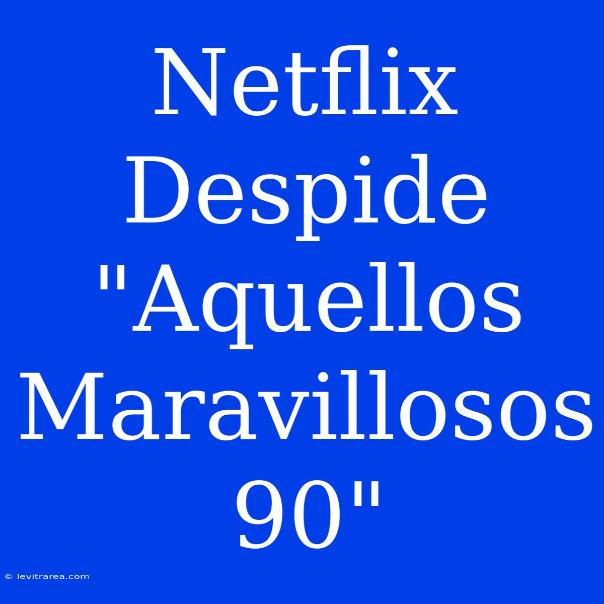 Netflix Despide 