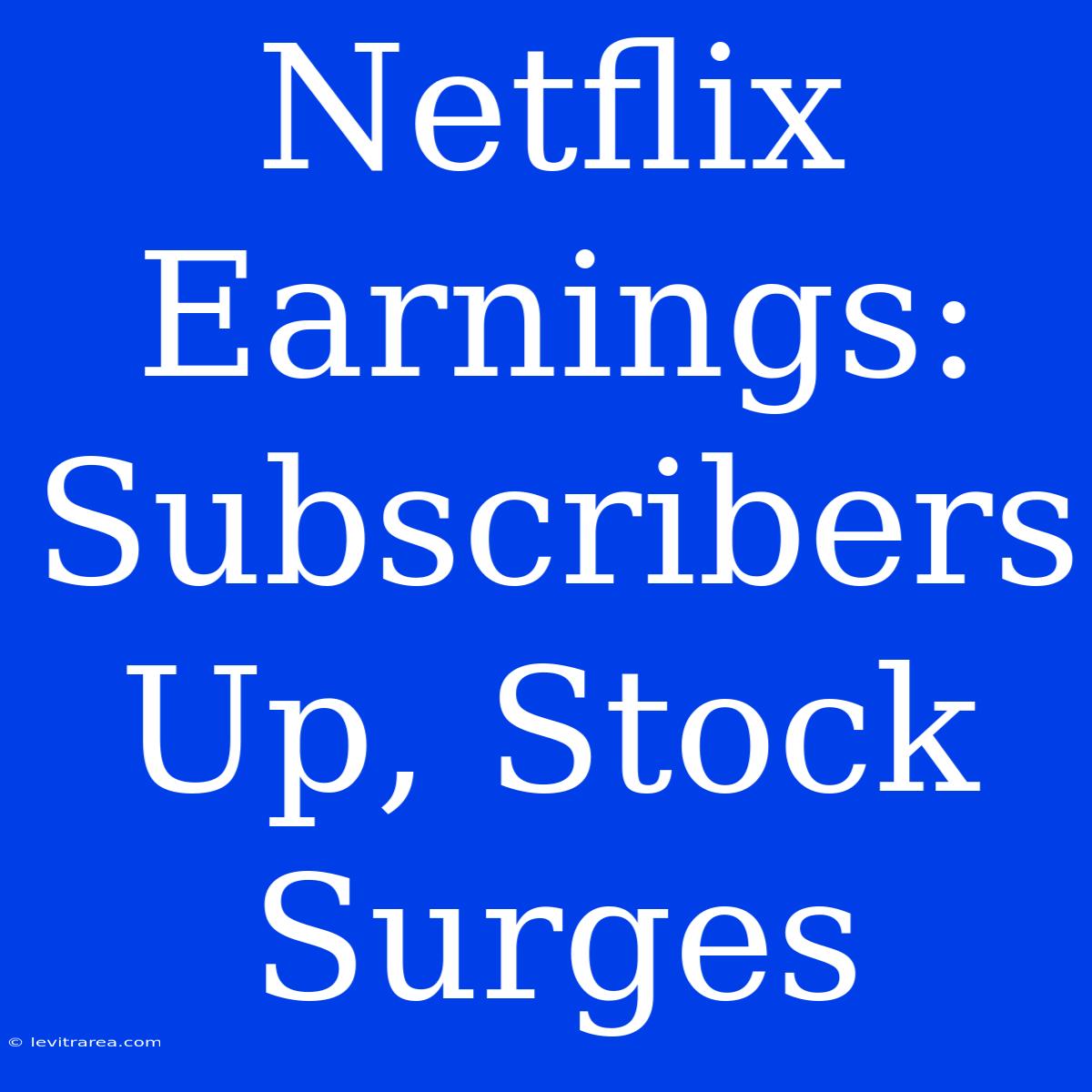 Netflix Earnings: Subscribers Up, Stock Surges