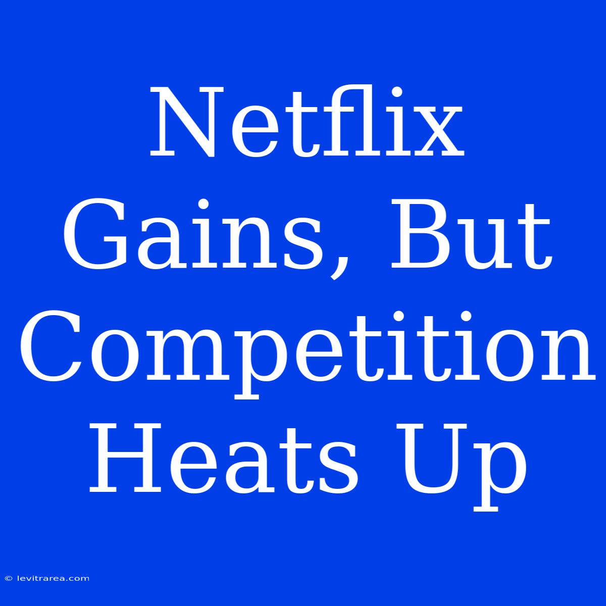 Netflix Gains, But Competition Heats Up