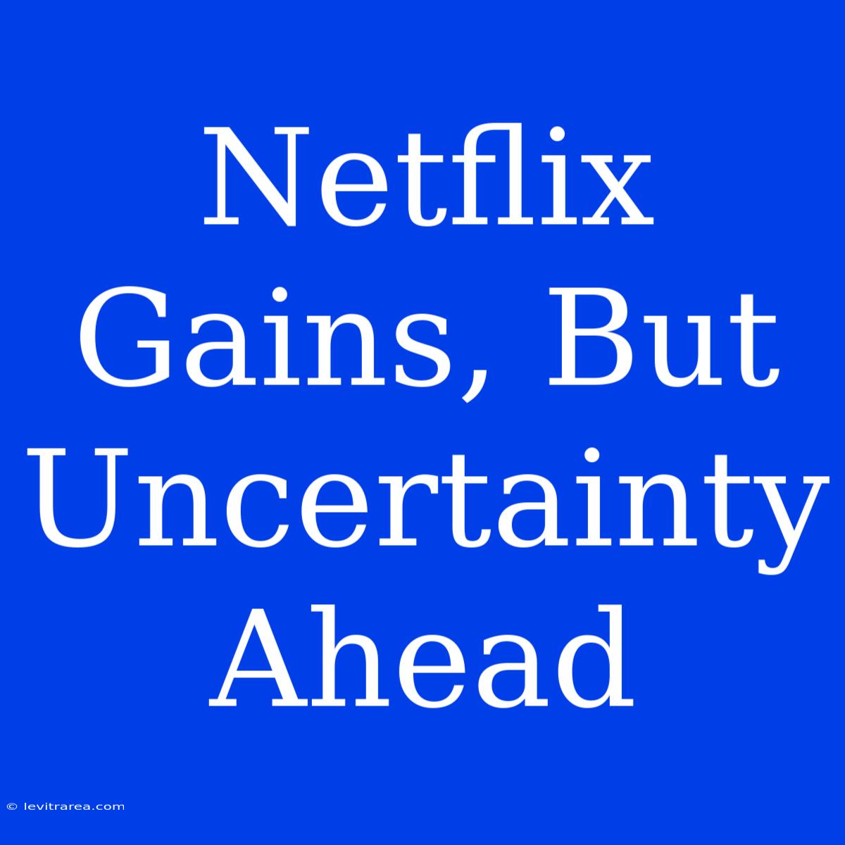 Netflix Gains, But Uncertainty Ahead