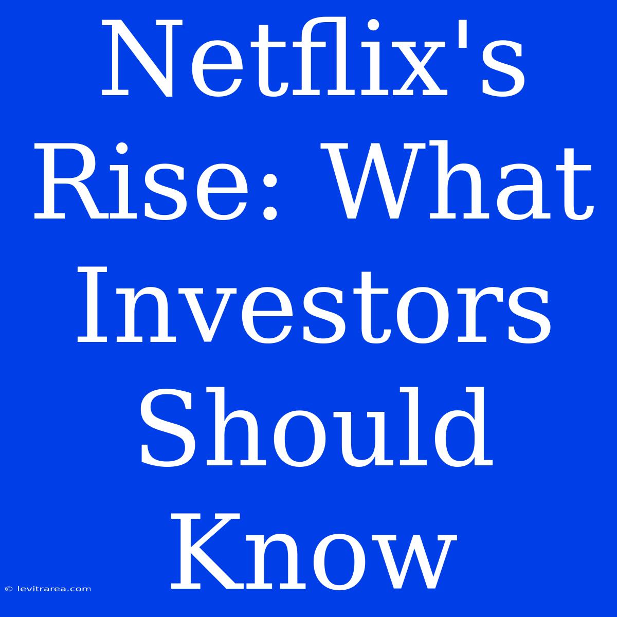 Netflix's Rise: What Investors Should Know