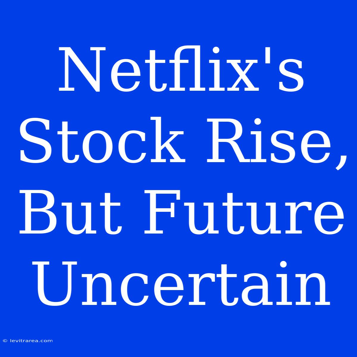 Netflix's Stock Rise, But Future Uncertain 