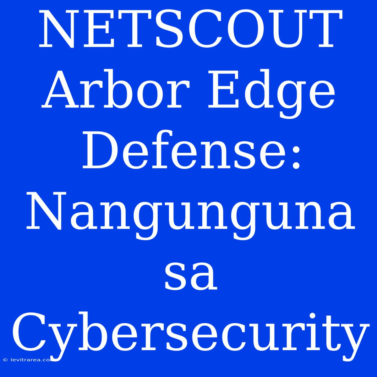 NETSCOUT Arbor Edge Defense: Nangunguna Sa Cybersecurity