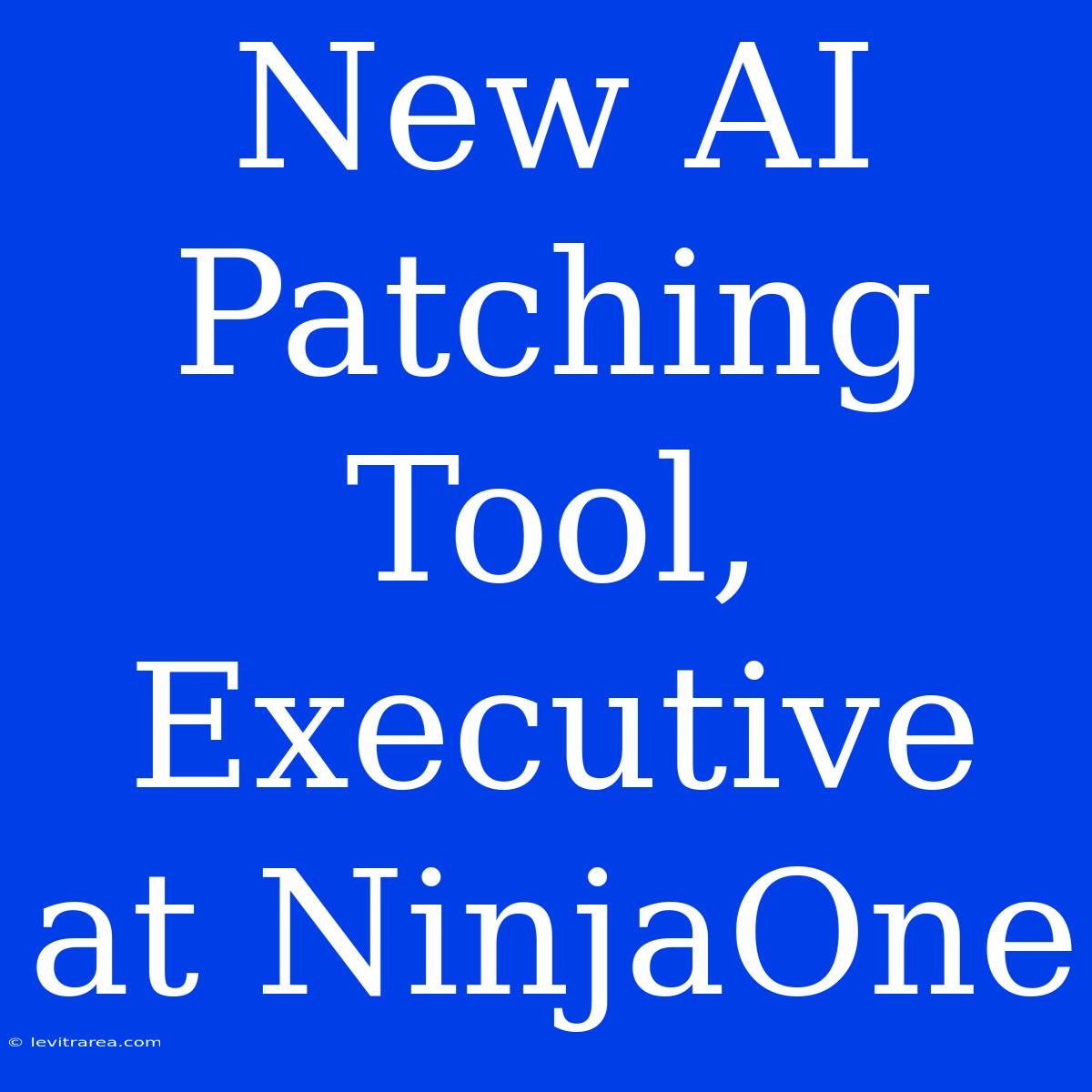 New AI Patching Tool, Executive At NinjaOne