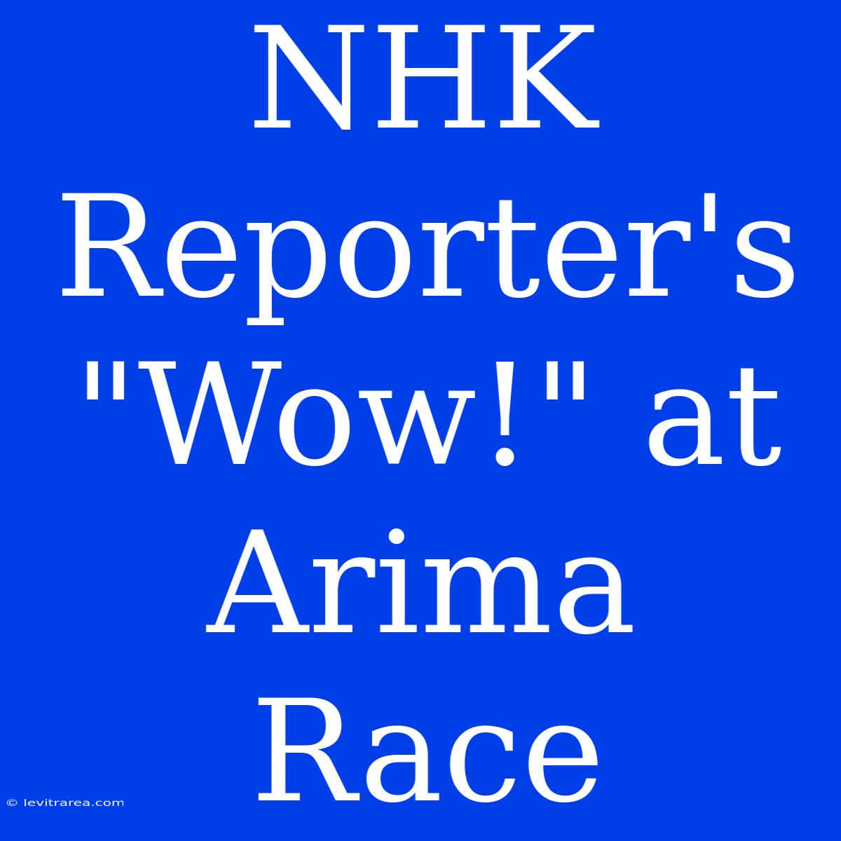 NHK Reporter's 