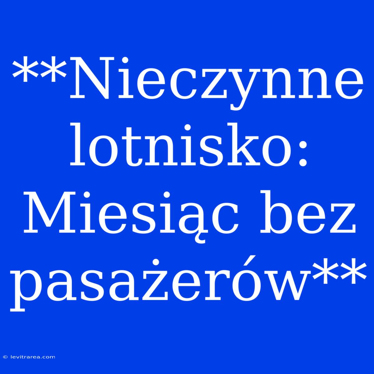 **Nieczynne Lotnisko:  Miesiąc Bez Pasażerów** 