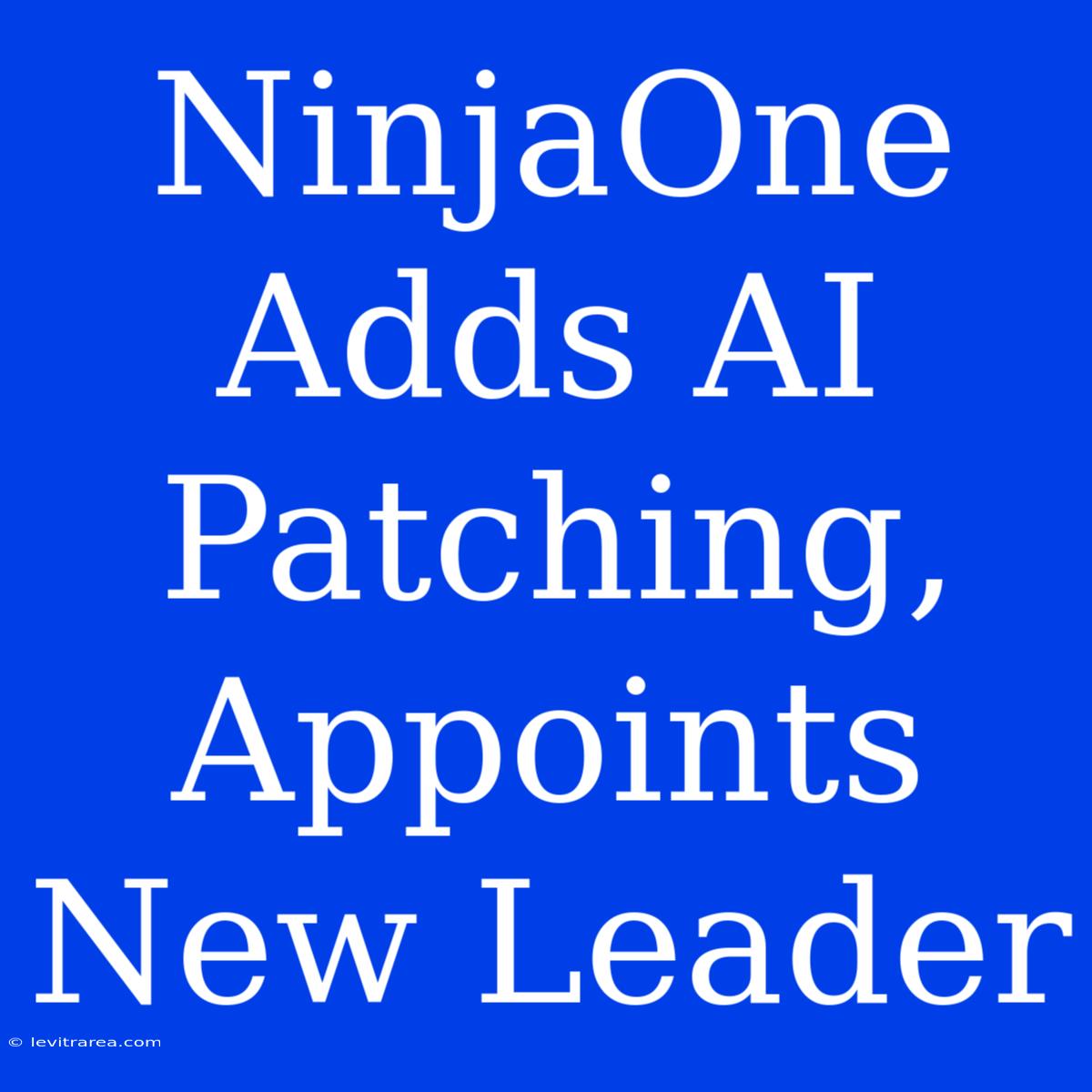 NinjaOne Adds AI Patching, Appoints New Leader